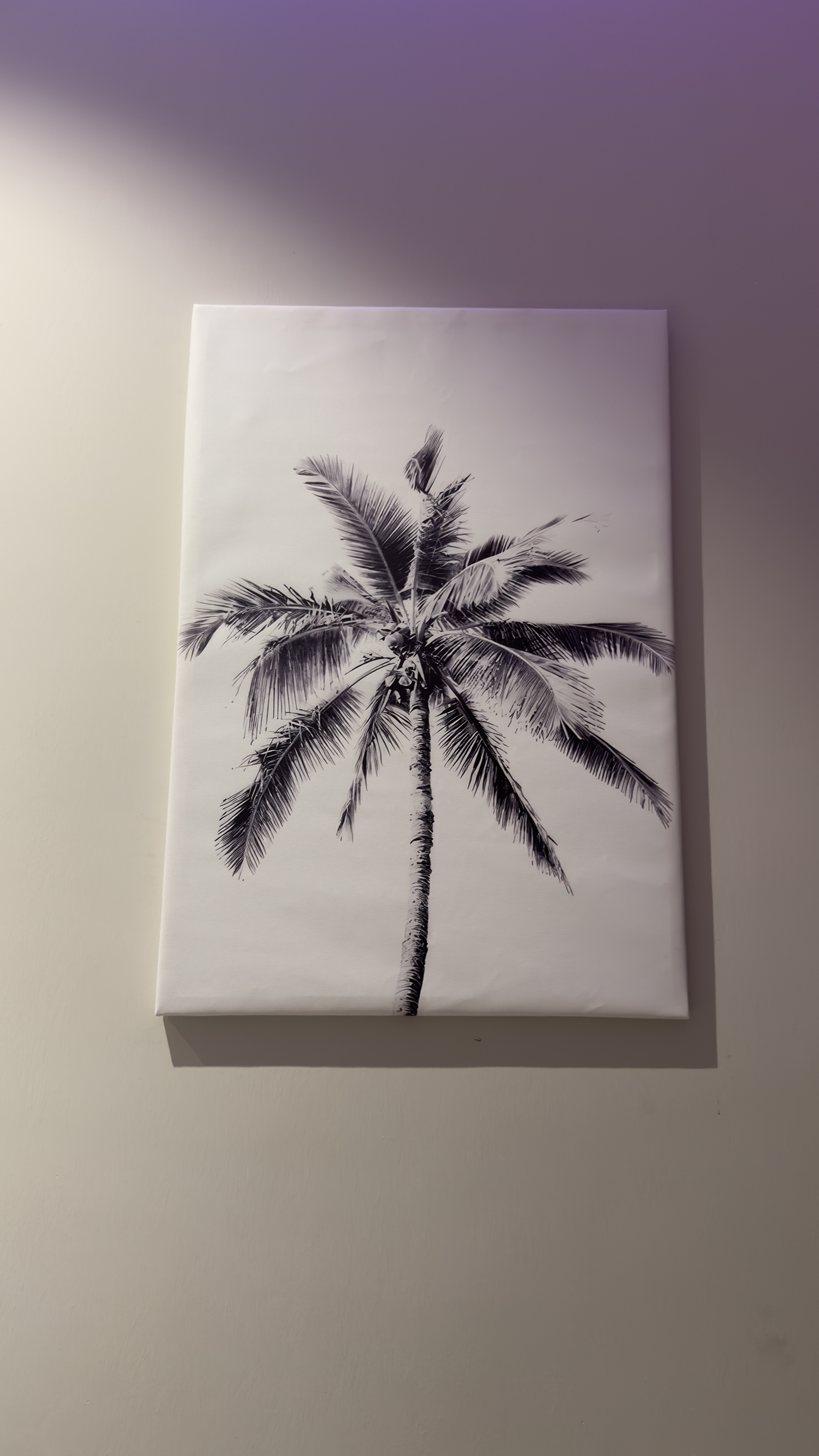 استديو الملاذ الامن