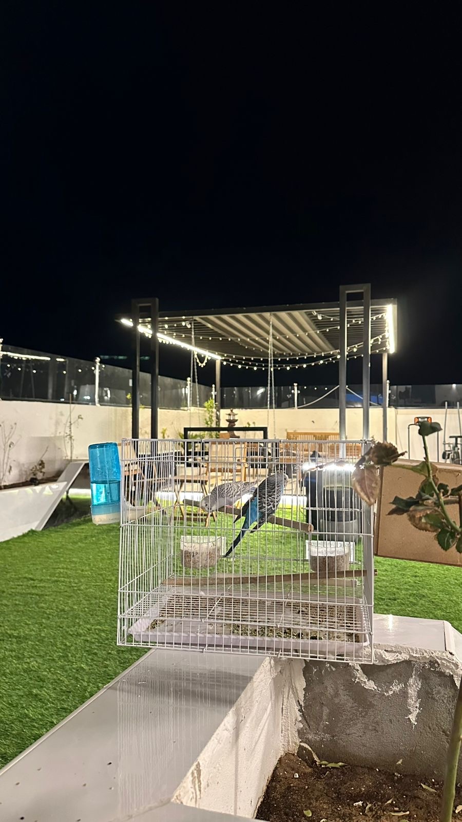 شاليه فندقي فاخر