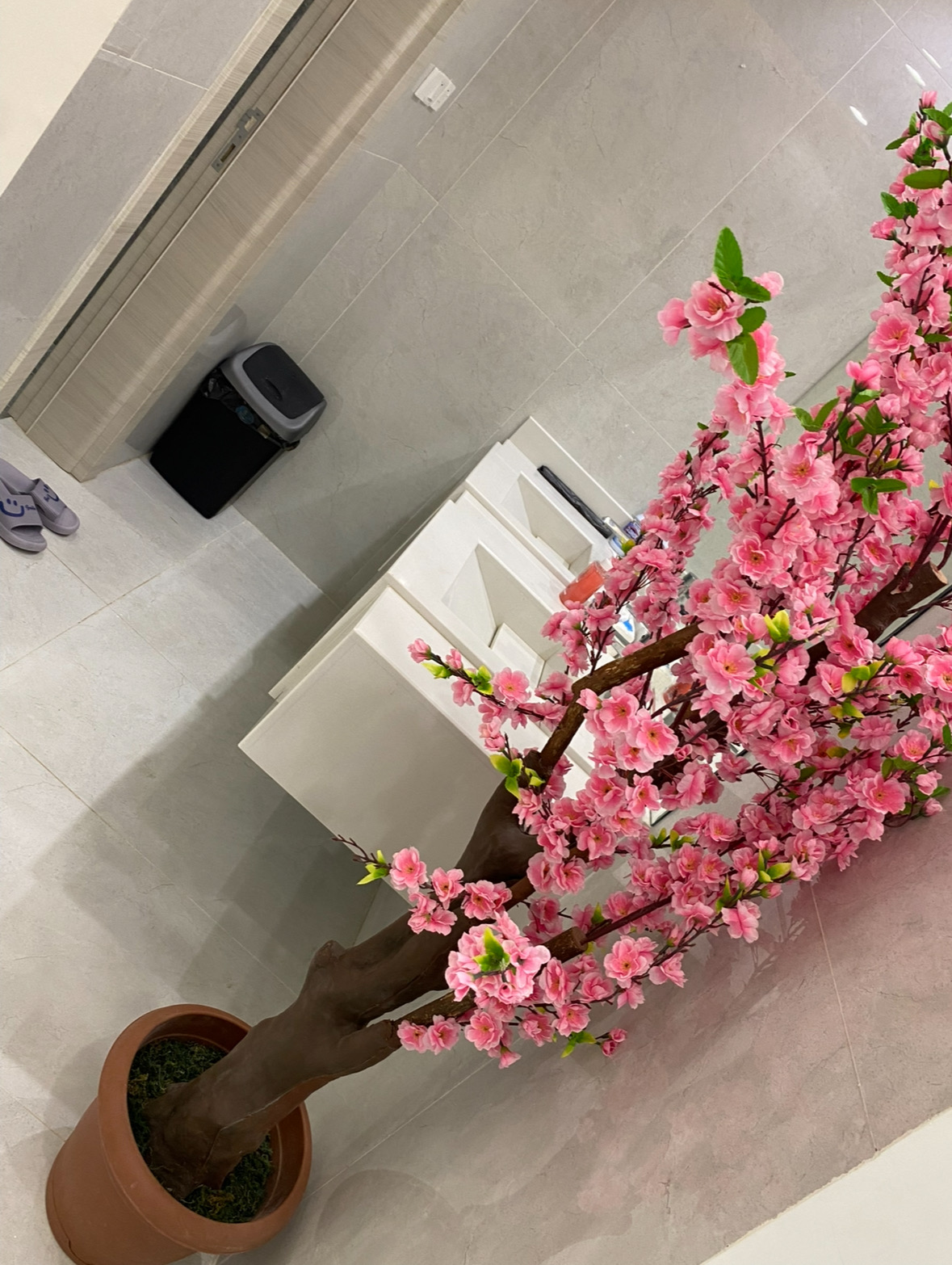شقه ارضيه فخمه