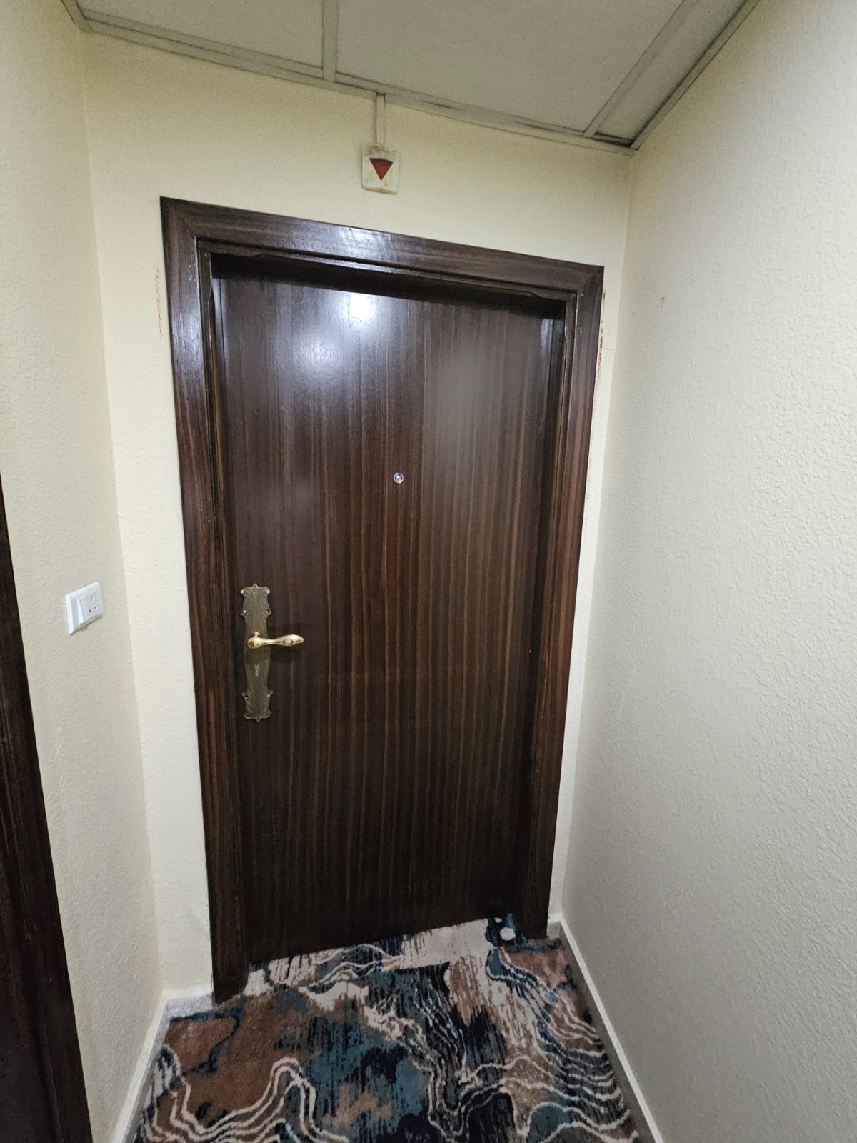 عماره جوانه اجياد