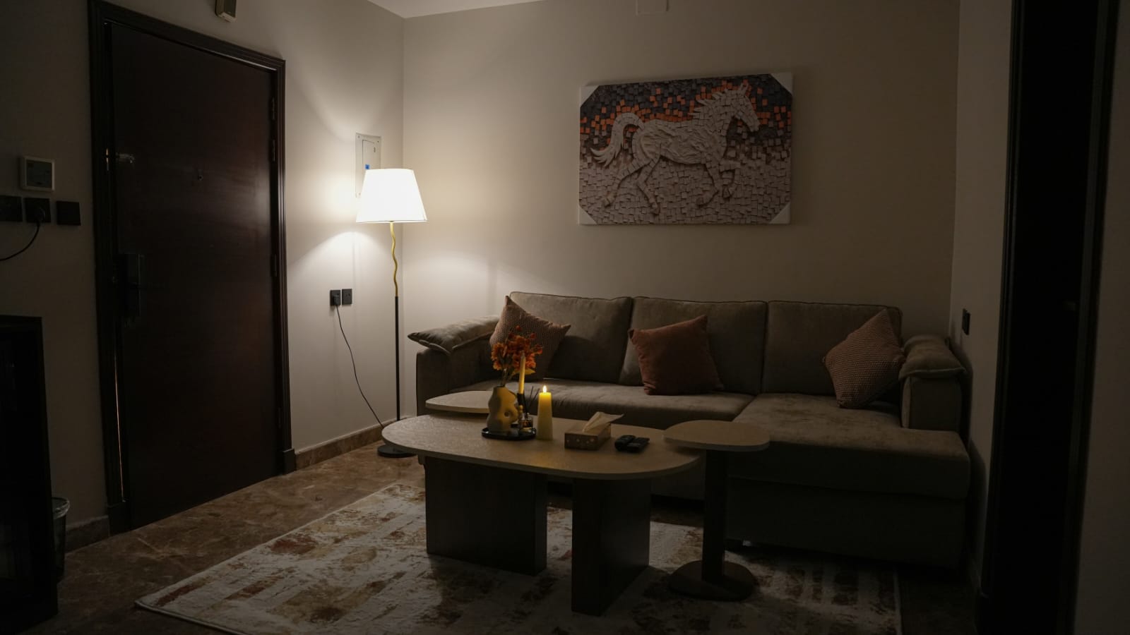 401-شقه فاخره بدخول ذاتي وموقع مميز