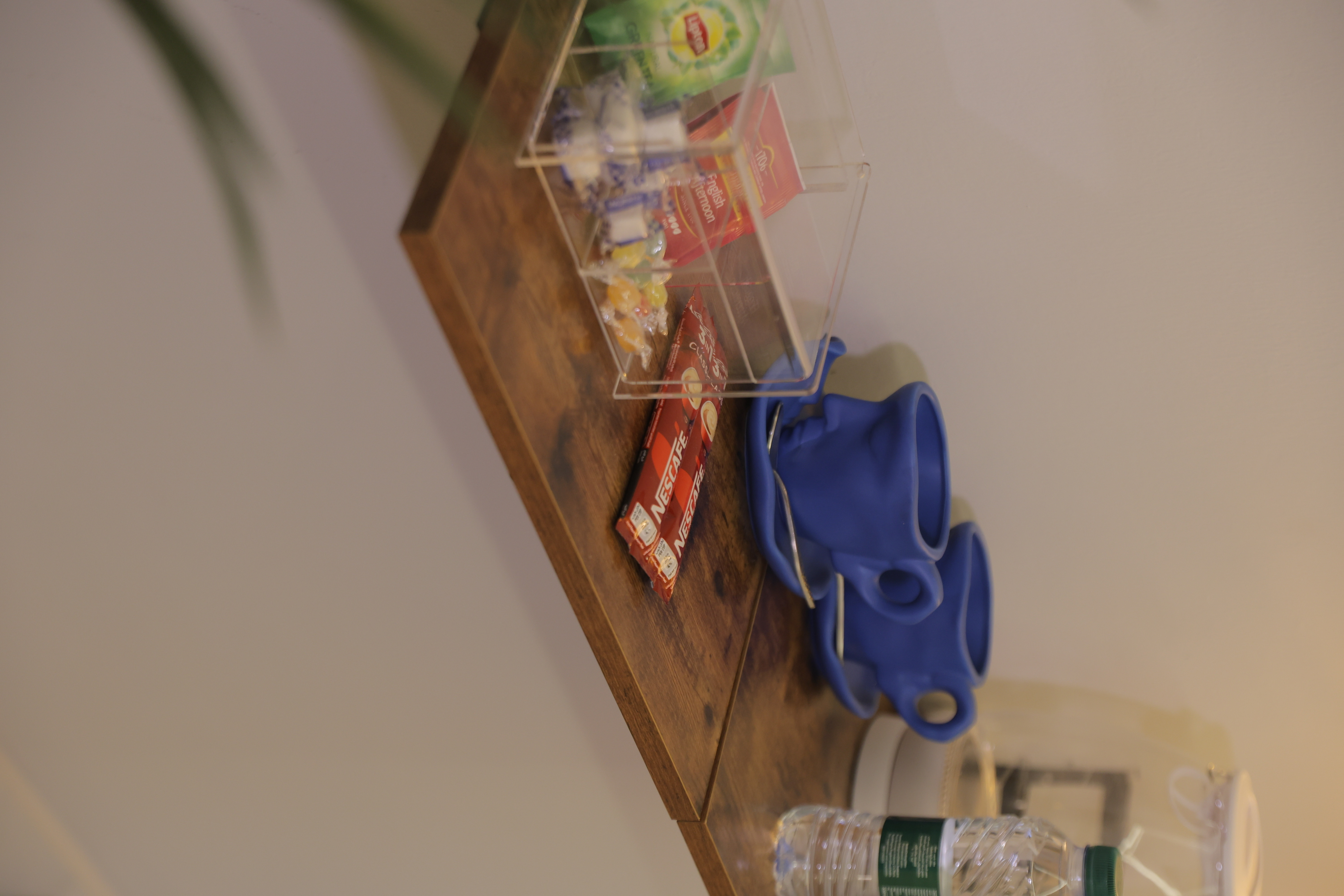 استيديو بتصميم بوهيمي - دخول ذاتي